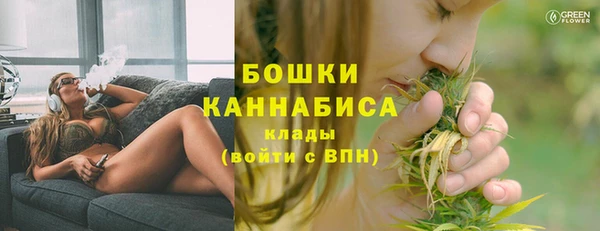 мескалин Ельня