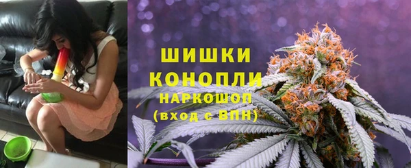 spice Арсеньев