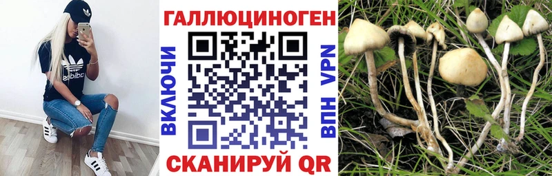 Галлюциногенные грибы мицелий  Борзя 